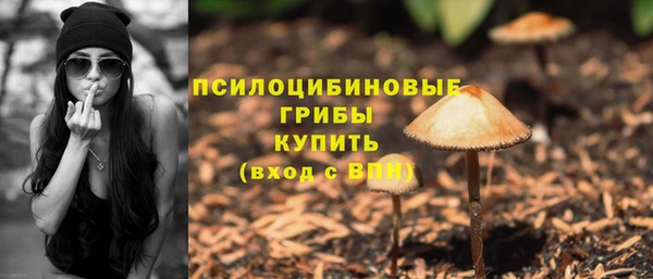 ALPHA PVP Киренск