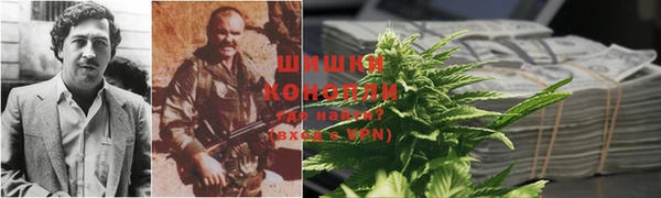 spice Касимов