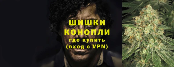 spice Касимов